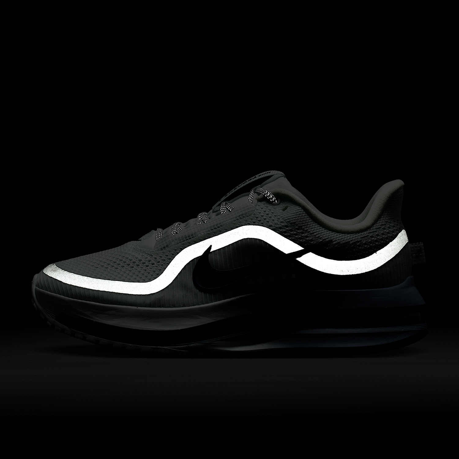 Originele Nike PEGASUS PREMIUM - Women Shoes Running Nike recensie en prijs